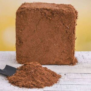 Coco Peat Block